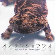 �I�I�T���V���E�E�I�J�����_�[ �Ǌ|�^�C�v 2016�N