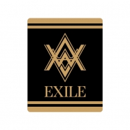 Xgoh/ EXILE LIVE TOUR 2015 gAMAZING WORLDh