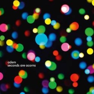 Adem/Seconds Are Acorns