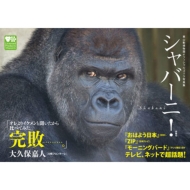 ���R���A�����I�t�B�V�����S�����ʐ^�W �V���o�[�j!