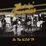 Flamin'Groovies/In The U. s.a '79
