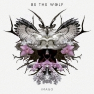 Imago
