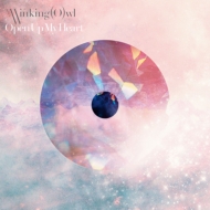 The Winking Owl/Open Up My Heart