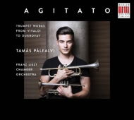 Trumpet Classical/Agitato： Palfalvi(Tp) Franz Liszt Co