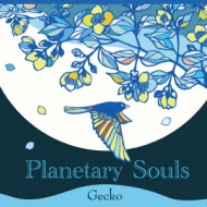 Gecko (New Age)/Planetary Souls