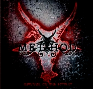 Survival Ov The Fittest