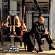 Wind Ensemble Classical/Mendelssohn ＆ Brahms： Music For Clarinet Bassoon ＆ Piano： Clarigotto Duo Ma