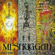 Meshuggah/Destroy Erase Improve