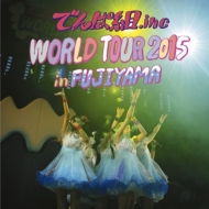 Ǥ.inc/World Tour 2015 In Fujiyama (Ltd)