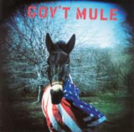 Govt Mule