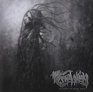 In Light Of Dark Days