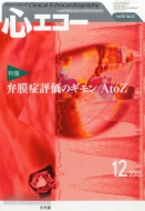 �S�G�R�[ 2015�N 12����