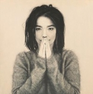 ビョーク　ミュージックビデオ　ヴォリューメン　ほぼ未使用 Bjork Volumen ビョーク ヴォリューメン DVD - メルカリ