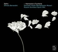 Harmonie & Turcherie-j & M.haydn, Mozart, Etc: Bernardini / Zefiro