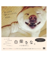 ���Ă��ȁB