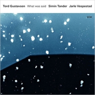 Tord Gustavsen/What Was Said