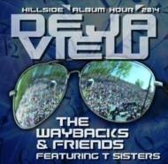 Deja View: Lve At Merlefest 2014