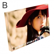 �t�@�u���b�N�p�l��(�~�h��B)��₷�݂�