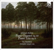 ピアノ三重奏曲第１番（初稿版）、ピアノ四重奏曲第３番　トリオ・ワンダラー、クリストフ・ゴーゲ