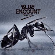 BLUE ENCOUNT/Survivor