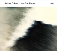 Into The Silence (2枚組アナログレコード)