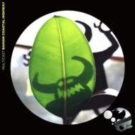 Bahian Coastal Highway