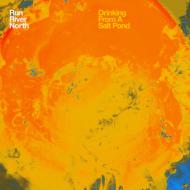 Drinking From A Salt Pond