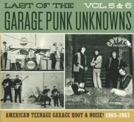Various/Last Of The Garage Punk Unknowns 5 ＆ 6