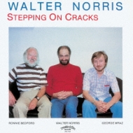 Walter Norris/Stepping On Cracks (Rmt)(Ltd)