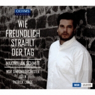 Tenor Collection/Wie Freundlich Strahlt Der Tag-romantic Arias： M. schmitt(T) P. lange / Cologne Rso