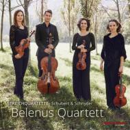 塼٥ȡ1797-1828/String Quartet 8 11  Belenus Q +daniel Schnyder Quartet 4