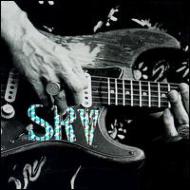 CDアルバム｜Stevie Ray Vaughan (スティーヴィー・レイ・ヴォーン