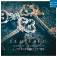 Corelli Bolognese -Trio Sonatas by Corelli & His Successors : Musica Antiqua Latina