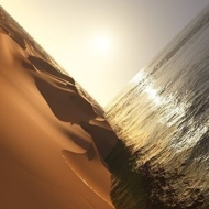 Mark Pritchard/Under The Sun