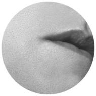 Expanded / Extensions