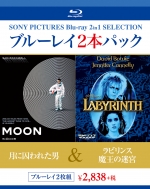 Moon/Labyrinth