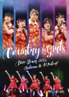 Country Girls Live Tour 2015 Akifuyu