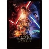 ���~��(�|�X�^�[��)