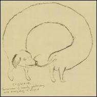 Tomorrow Is Nearly Yesterday & Everyday Is Stupid