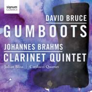 Clarinet Quintet: Julian Bliss(Cl)Carducci Q +david Bruce: Gumboots