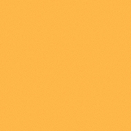 �����ǥ�zoo/Orange Single