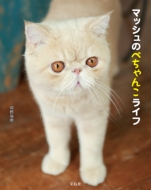 �}�b�V���̂؂���񂱃��C�t