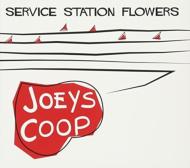 Joeys Coop/Service Staton Flowers