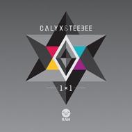Calyx / Teebee/1x1