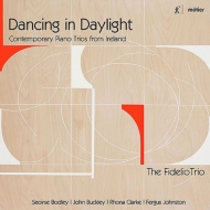 　オムニバス（室内楽）/Dancing In Daylight-contemporary Piano Trios From Ireland： Fidelio Trio