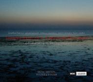Of Waters Making Moan-for Accordion & Viola: Anzellotti(Accd)Desjardins(Va)