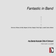 Associazione Banda Musicale Citta'di Orzinuovi: Fantastic In Band