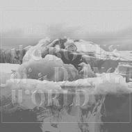 Bones Of A Dying World