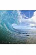 SWELL -a year of waves- : エヴァン・スレーター | HMVu0026BOOKS online - 9784756247629