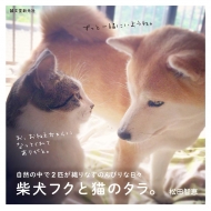 �Č��t�N�ƔL�̃^���B ���R�̒���2�C���D��Ȃ��̂�т�ȓ��X